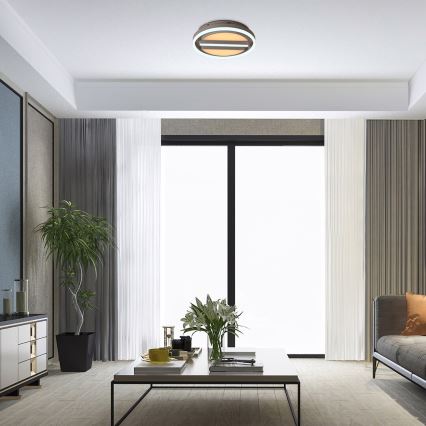 Rabalux - Iluminação de teto LED com regulação LED/55W/230V + controlo remoto