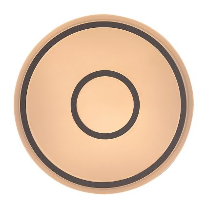 Rabalux - Iluminação de teto LED LED/25W/230V 3000K