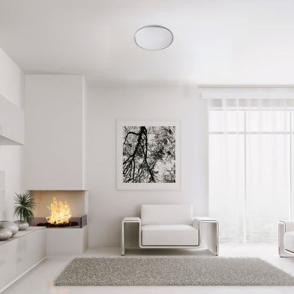 Rabalux - Iluminação de teto LED LED/18W/230V 4000K prateado 27 cm