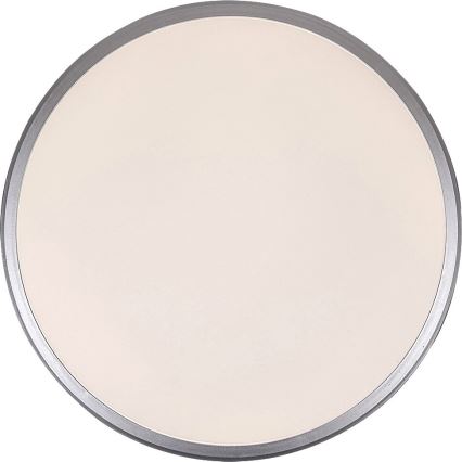 Rabalux - Iluminação de teto LED LED/18W/230V 4000K prateado 27 cm