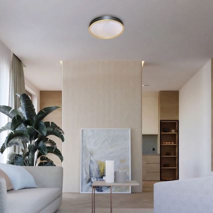 Rabalux - Iluminação de teto LED com regulação LED/24W/230V 3000-6500K + controlo remoto