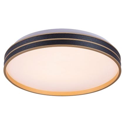 Rabalux - Iluminação de teto LED com regulação LED/24W/230V 3000-6500K + controlo remoto