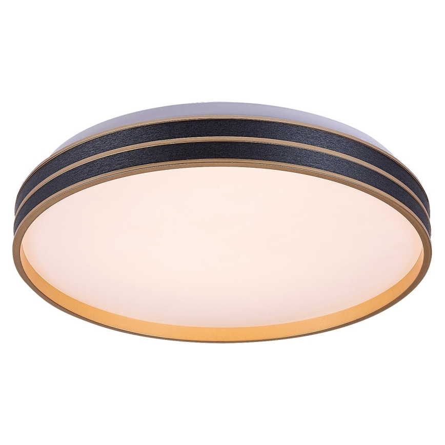 Rabalux - Iluminação de teto LED com regulação LED/24W/230V 3000-6500K + controlo remoto