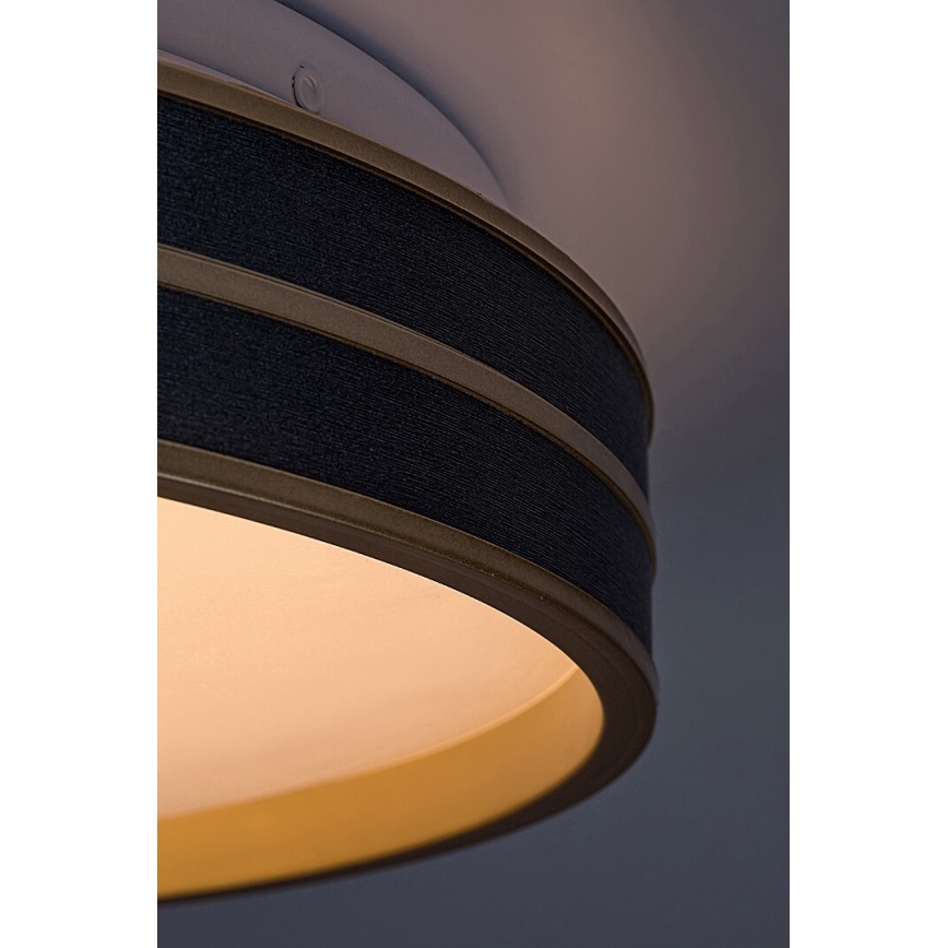 Rabalux - Iluminação de teto LED com regulação LED/24W/230V 3000-6500K + controlo remoto