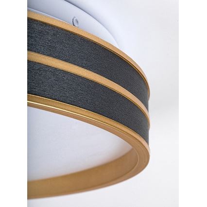 Rabalux - Iluminação de teto LED com regulação LED/24W/230V 3000-6500K + controlo remoto