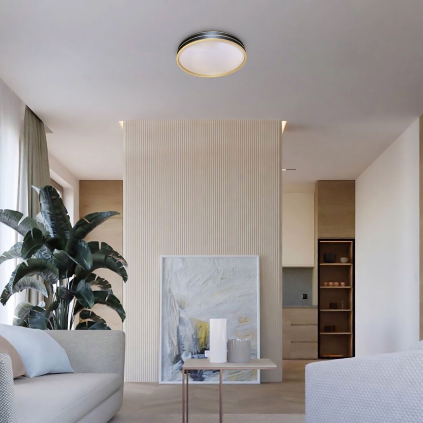 Rabalux - Luminária de teto LED regulável LED/24W/230V 3000-6500K Ø 39 cm + comando remoto