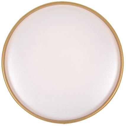 Rabalux - Luminária de teto LED regulável LED/24W/230V 3000-6500K Ø 39 cm + comando remoto