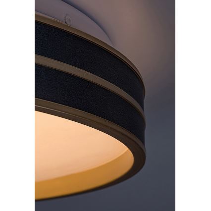 Rabalux - Luminária de teto LED regulável LED/24W/230V 3000-6500K Ø 39 cm + comando remoto