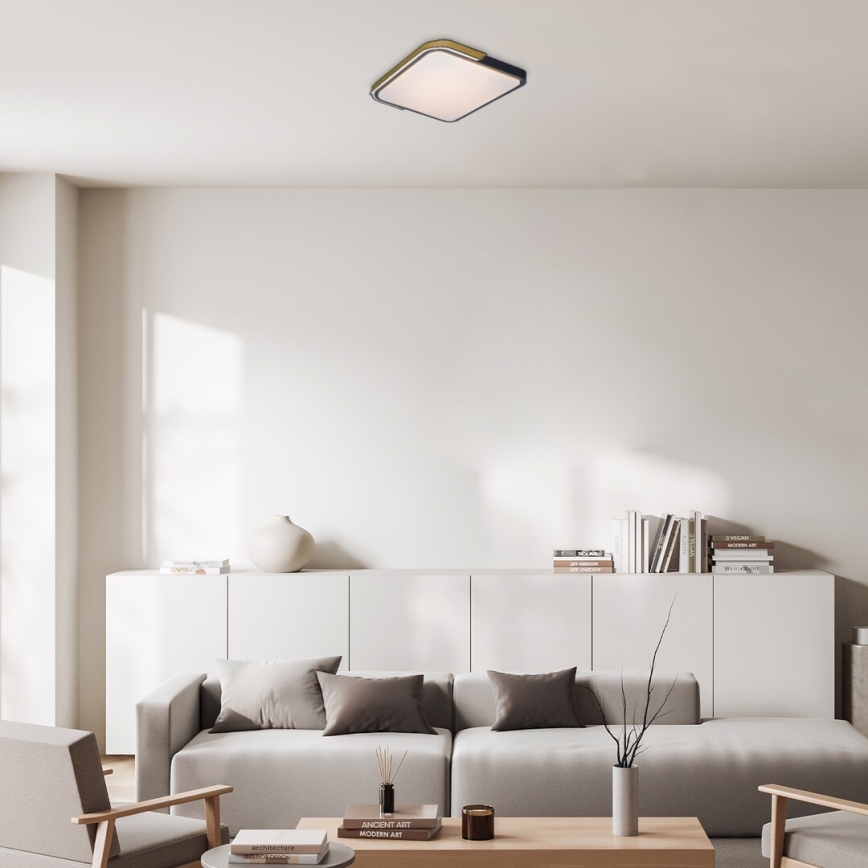 Rabalux - Iluminação de teto LED RGB com regulação LED/48W/230V 3000K/4000K/6500K Wi-Fi Tuya + controlo remoto