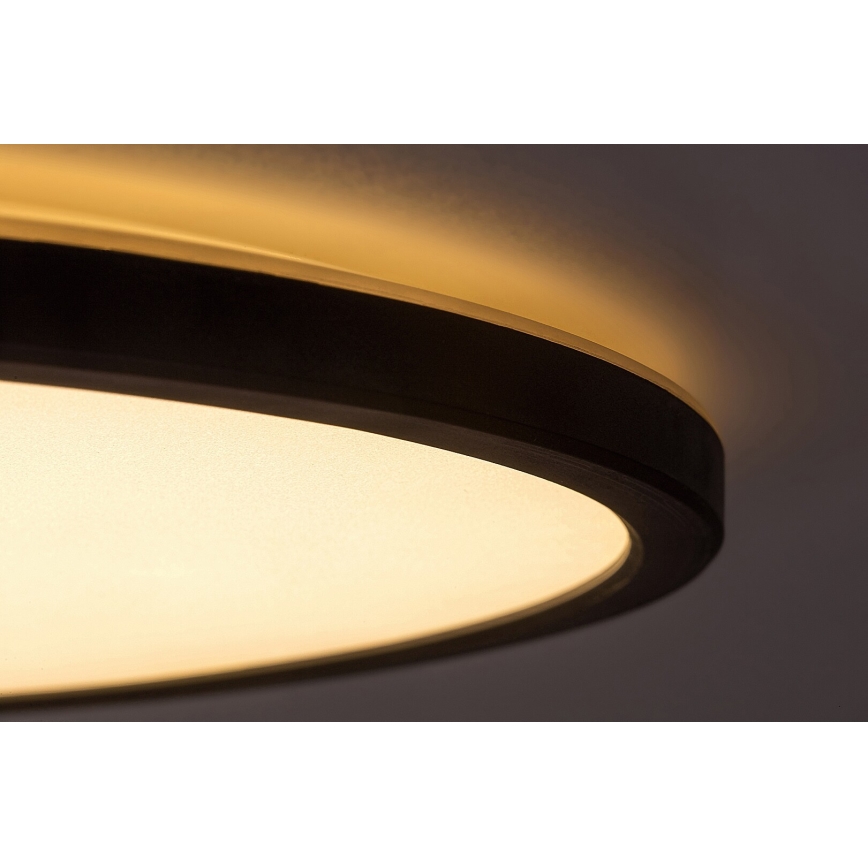 Rabalux - Iluminação de teto LED com regulação LED/36W/230V 3000K 54 cm