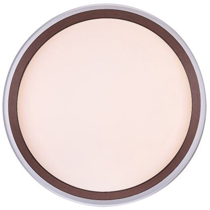 Rabalux - Iluminação de teto LED LED/24W/230V 3000K