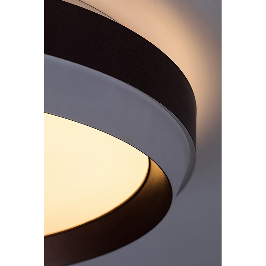 Rabalux - Iluminação de teto LED LED/24W/230V 3000K
