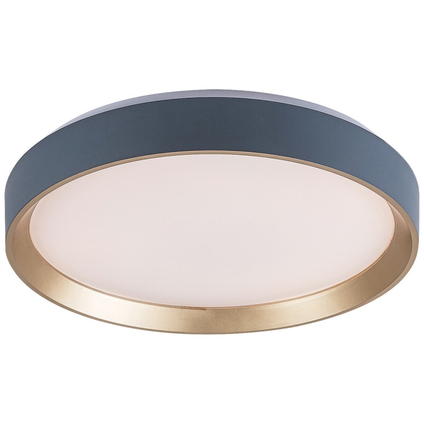 Rabalux - Iluminação de teto LED LED/25W/230V 3000K diâmetro 38 cm