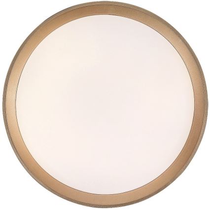 Rabalux - Iluminação de teto LED LED/25W/230V 3000K diâmetro 38 cm