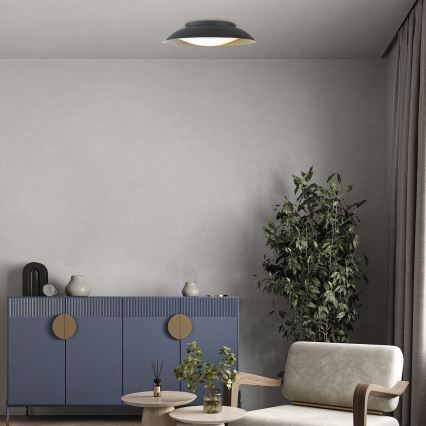Rabalux - Iluminação de teto LED LED/24W/230V 3000K diâmetro 40 cm