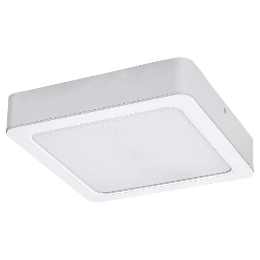 Rabalux - Iluminação de teto LED LED/7W/230V 4000K 12x12 cm branco