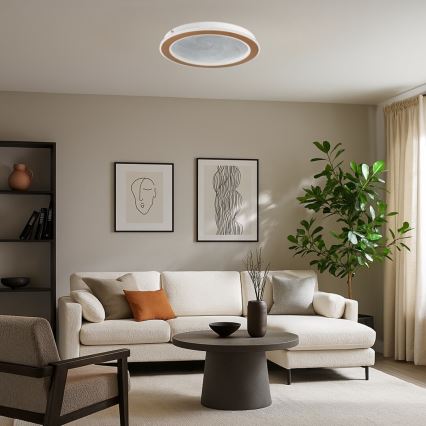 Rabalux - Luminária de teto LED dimerizável LED/24W/230V 3000-6500K Ø 40 cm + comando à distância