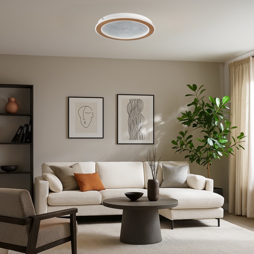 Rabalux - Luminária de teto LED dimerizável LED/24W/230V 3000-6500K Ø 40 cm + comando à distância
