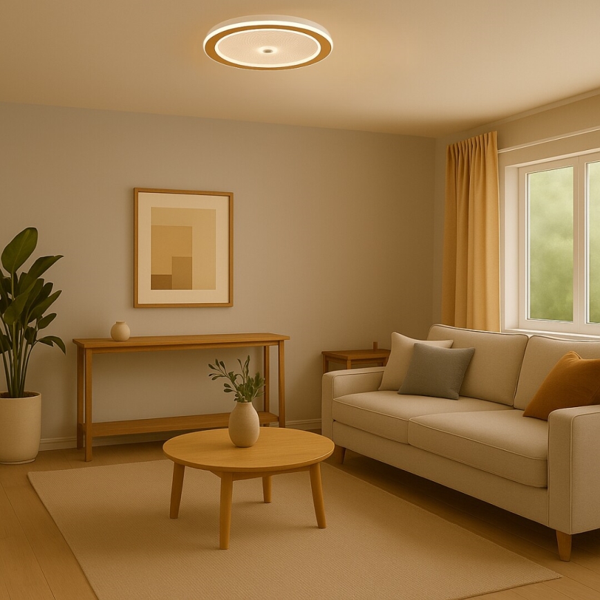Rabalux - Luminária de teto LED dimerizável LED/34W/230V 3000-6500K Ø 51 cm + controlo remoto