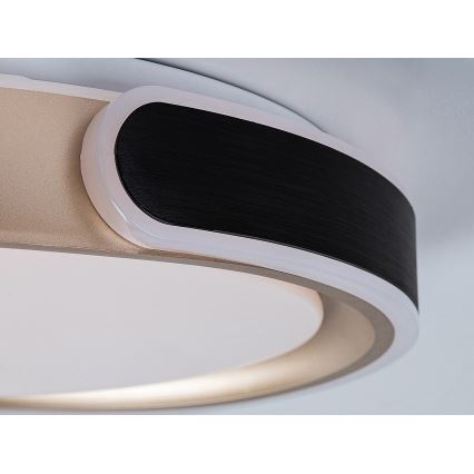 Rabalux - Iluminação de teto LED com regulação LED/48W/230V 3000-6500K + comando