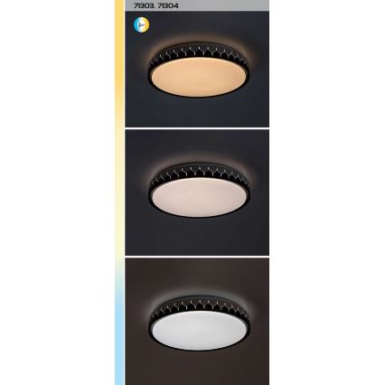 Rabalux - Iluminação de teto LED com regulação LED/48W/230V 3000-6500K + comando