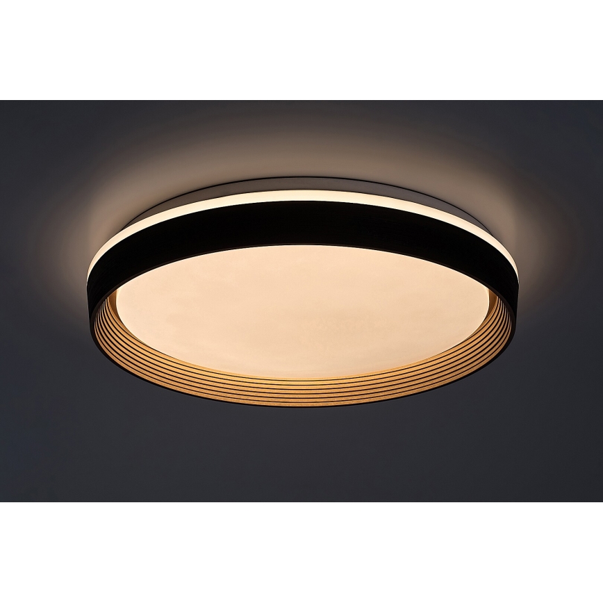 Rabalux - Iluminação de teto LED com regulação LED/48W/230V 3000-6500K + comando