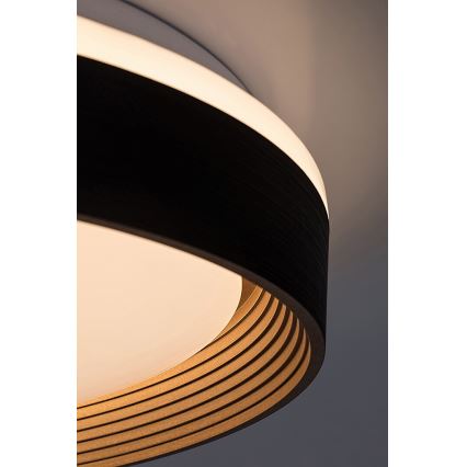 Rabalux - Iluminação de teto LED com regulação LED/48W/230V 3000-6500K + comando