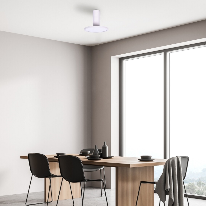Rabalux - Iluminação de teto LED LED/20W/230V 3000K branco