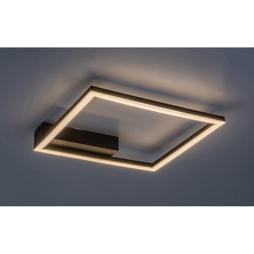 Rabalux - Iluminação de teto LED LED/24W/230V 3000K