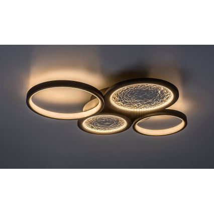 Rabalux - Iluminação de teto LED com regulação LED/40W/230V 3000-6500K + comando