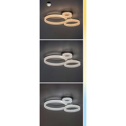 Rabalux - Iluminação de teto LED LED/24W/230V 3000/4000/6500K dourado