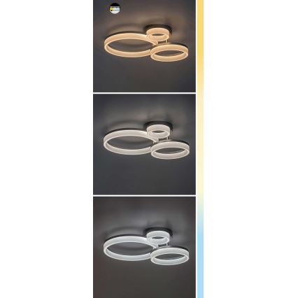 Rabalux - Iluminação de teto LED LED/24W/230V 3000/4000/6500K preto