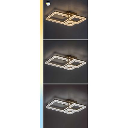 Rabalux - Iluminação de teto LED LED/22W/230V 3000/4000/6500K preto