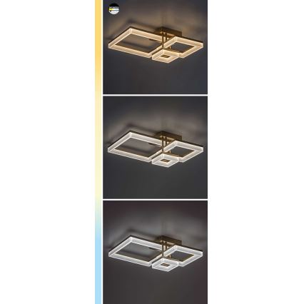 Rabalux - Iluminação de teto LED LED/22W/230V 3000/4000/6500K cromado mate