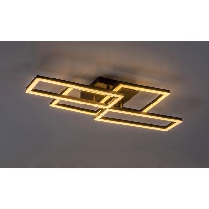 Rabalux - Iluminação de teto LED com regulação LED/40W/230V 3000-6500K + comando