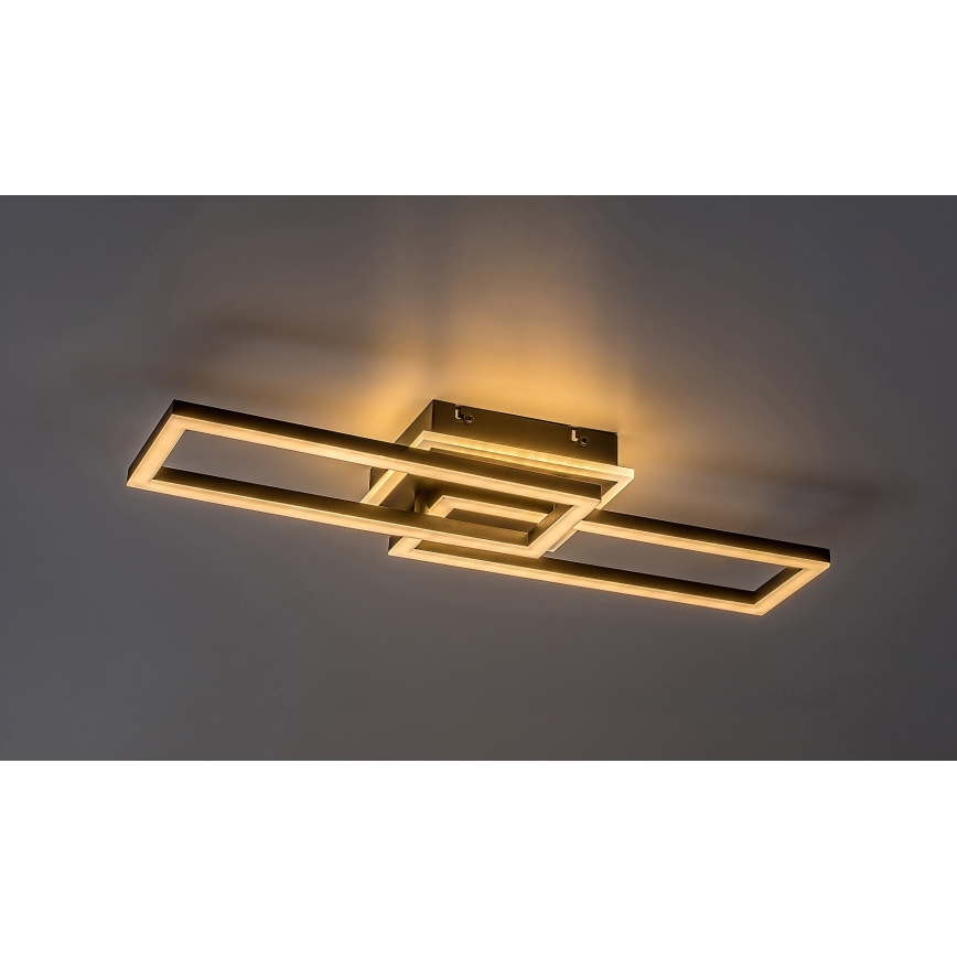 Rabalux - Iluminação de teto LED com regulação LED/30W/230V 3000-6500K + comando