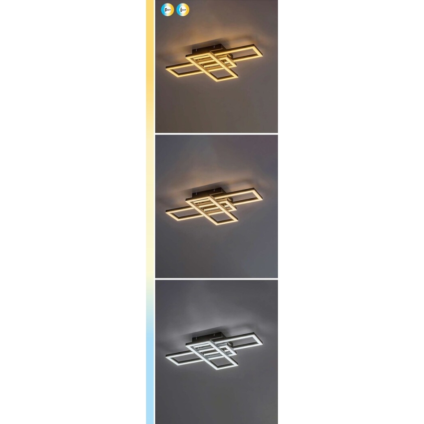 Rabalux - Iluminação de teto LED com regulação LED/40W/230V 3000-6500K + comando