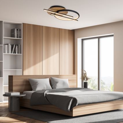 Rabalux - Iluminação de teto LED LED/40W/230V 3000/4000/6500K