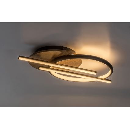 Rabalux - Iluminação de teto LED LED/40W/230V 3000/4000/6500K