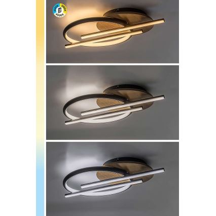 Rabalux - Iluminação de teto LED LED/40W/230V 3000/4000/6500K