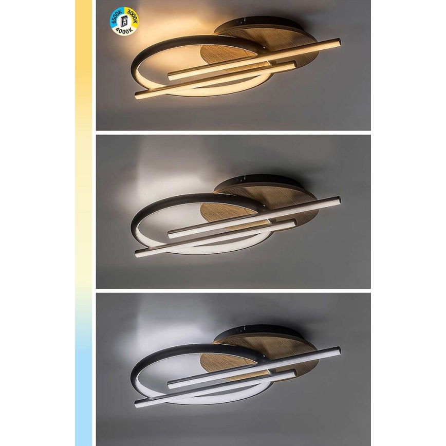 Rabalux - Iluminação de teto LED LED/40W/230V 3000/4000/6500K