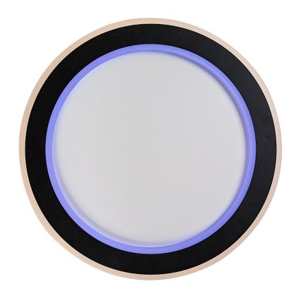 Rabalux - Iluminação de teto LED RGB com regulação LED/22W/230V 3000-6500K + comando