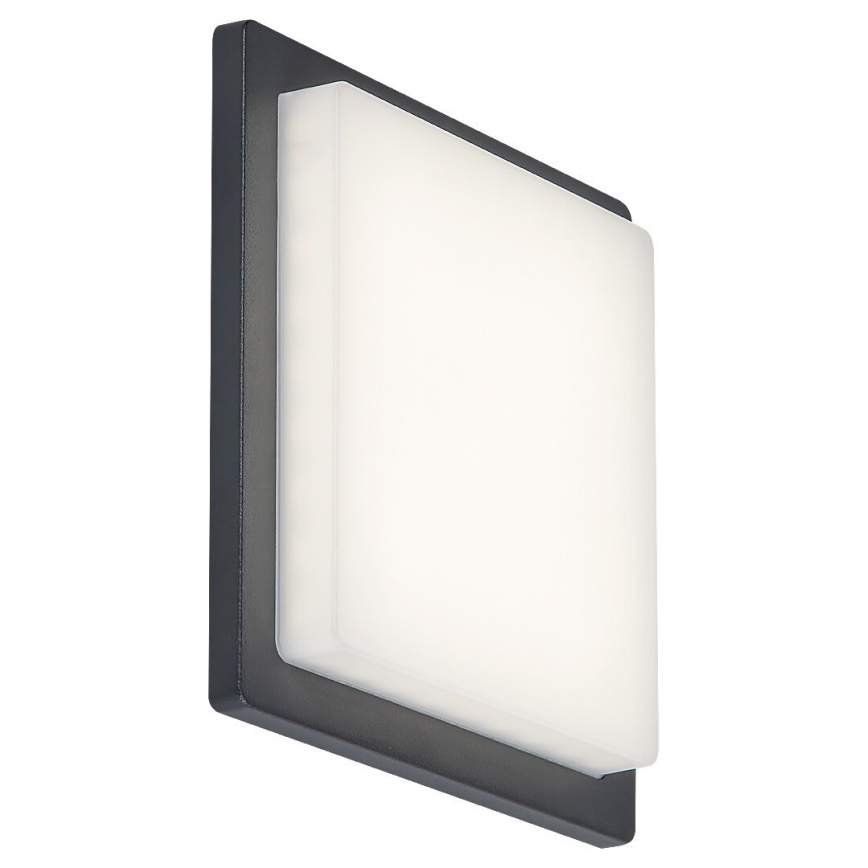 Rabalux - Iluminação de parede exterior LED LED/8W/230V IP65
