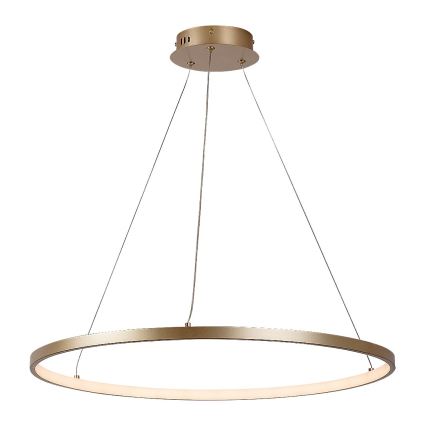 Rabalux - Lustre suspenso por cabo LED/55W/230V 3000K