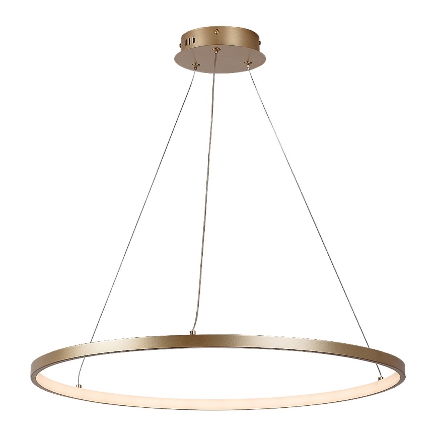 Rabalux - Lustre suspenso por cabo LED/55W/230V 3000K