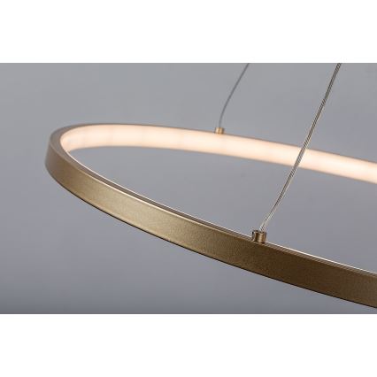 Rabalux - Lustre suspenso por cabo LED/55W/230V 3000K