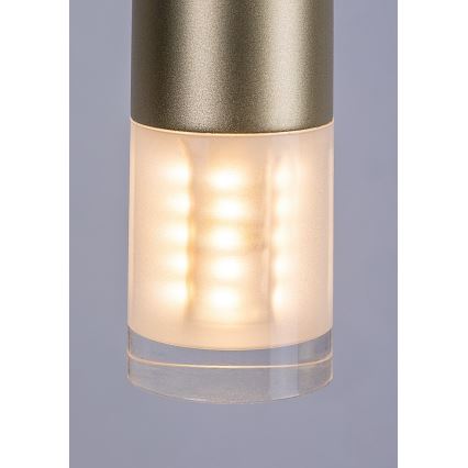 Rabalux - Candeeiro suspenso 1xG9/5W/230V dourado