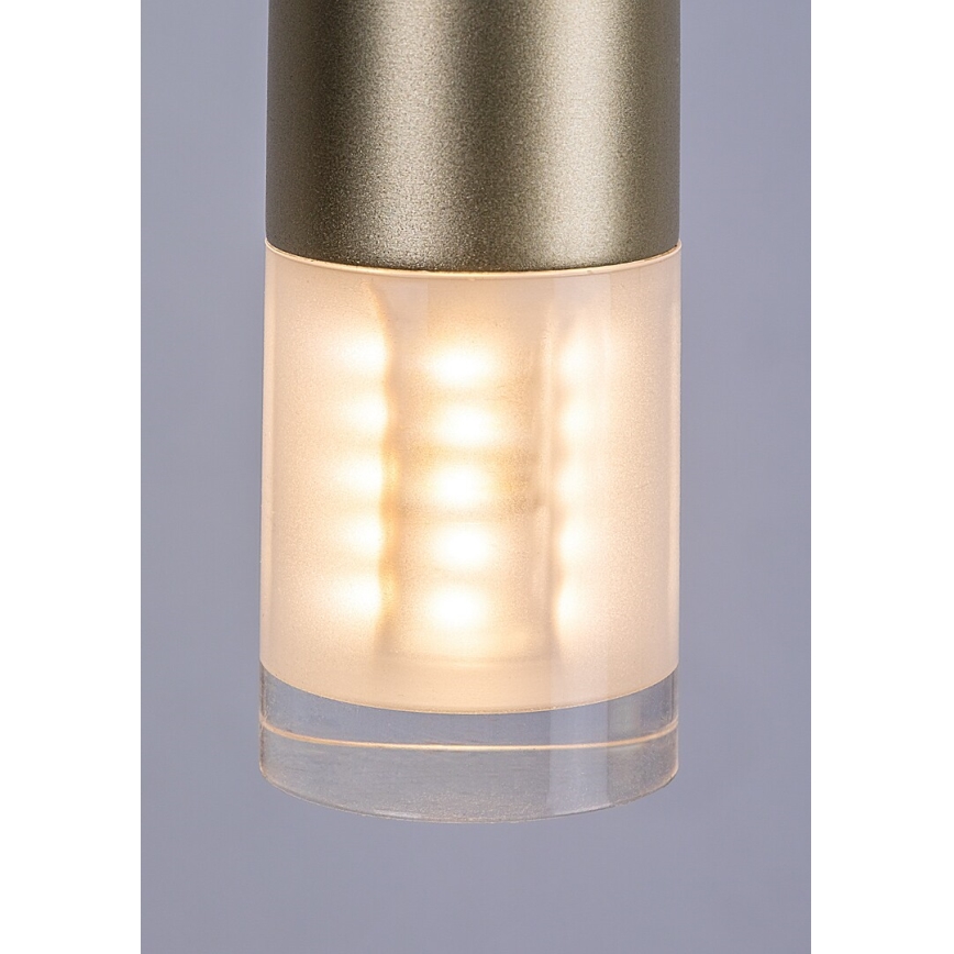 Rabalux - Candeeiro suspenso 1xG9/5W/230V dourado