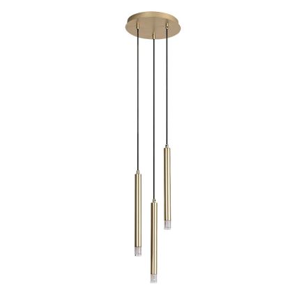 Rabalux - Candeeiro suspenso 3xG9/5W/230V dourado