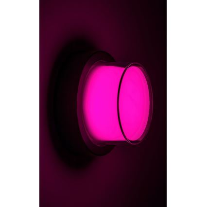 Rabalux - LED RGBW Iluminação de parede exterior com regulação LED/10W/230V IP54 Wi-Fi Tuya